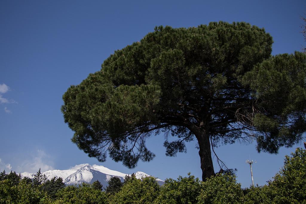 فيلا Il Melograno San Leonardello المظهر الخارجي الصورة