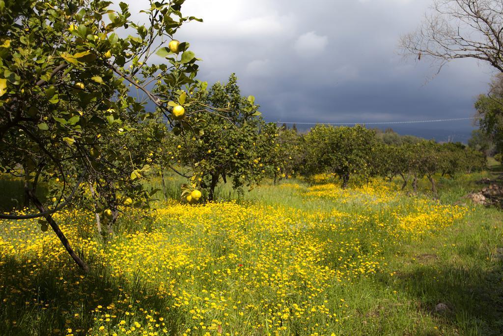 فيلا Il Melograno San Leonardello المظهر الخارجي الصورة