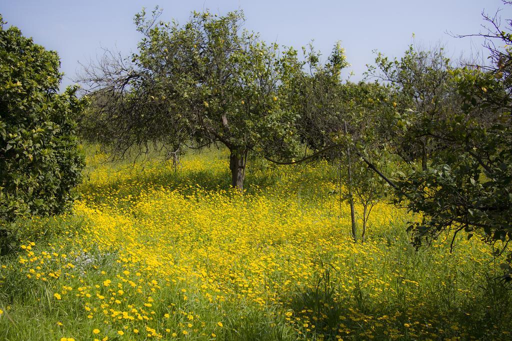 فيلا Il Melograno San Leonardello المظهر الخارجي الصورة